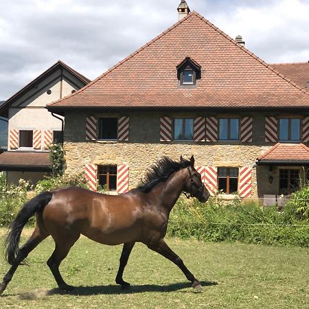 Ferme De Grandchamp Apartamento Boudry Exterior foto