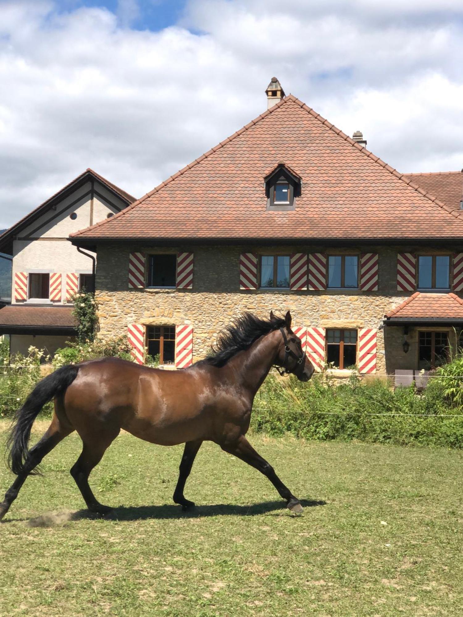 Ferme De Grandchamp Apartamento Boudry Exterior foto