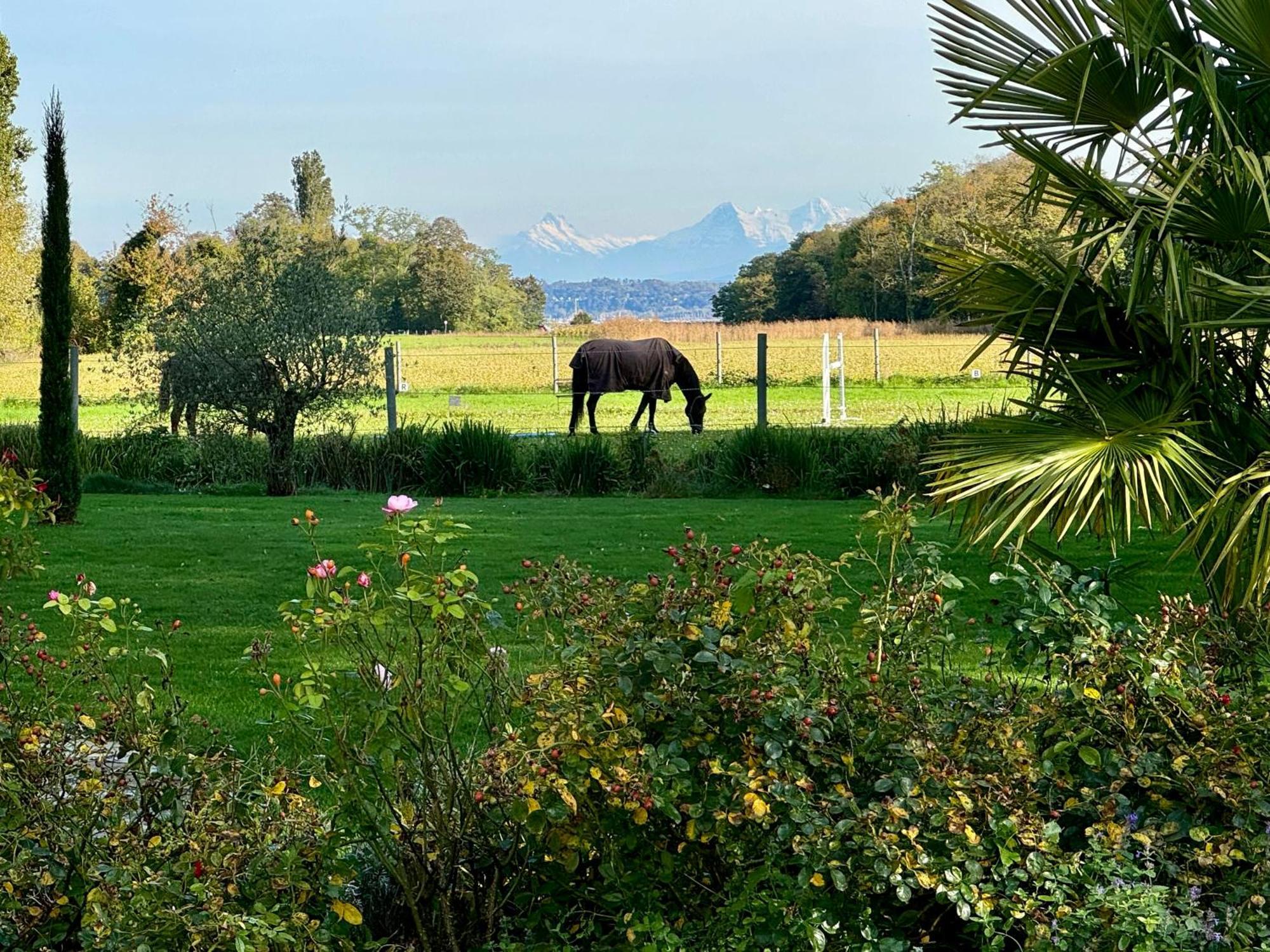 Ferme De Grandchamp Apartamento Boudry Exterior foto